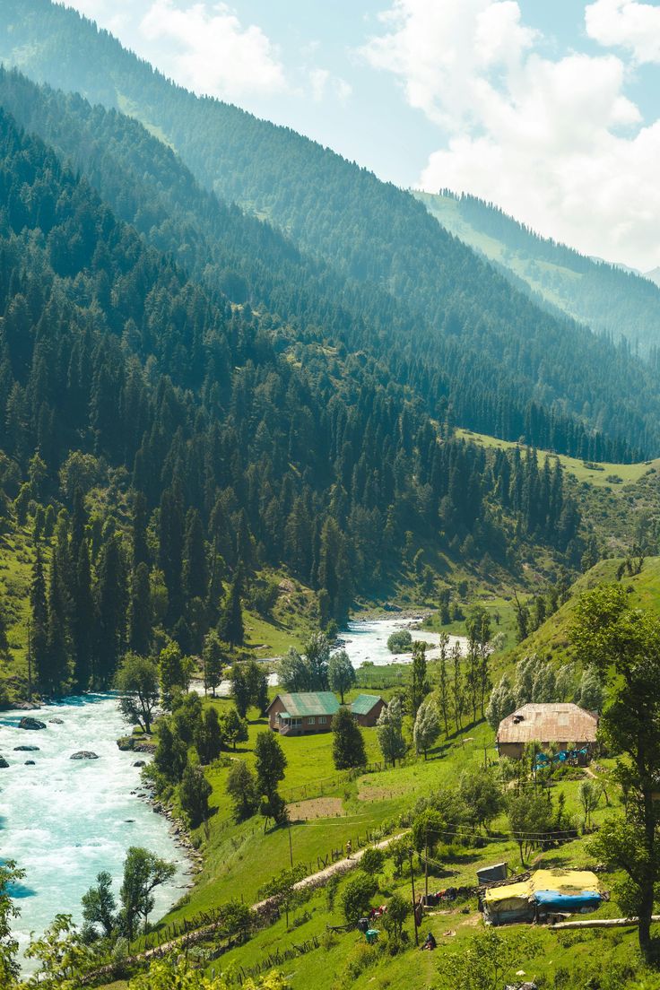 Forested slopes and wooden chalets in Jibhi, Himachal Pradesh